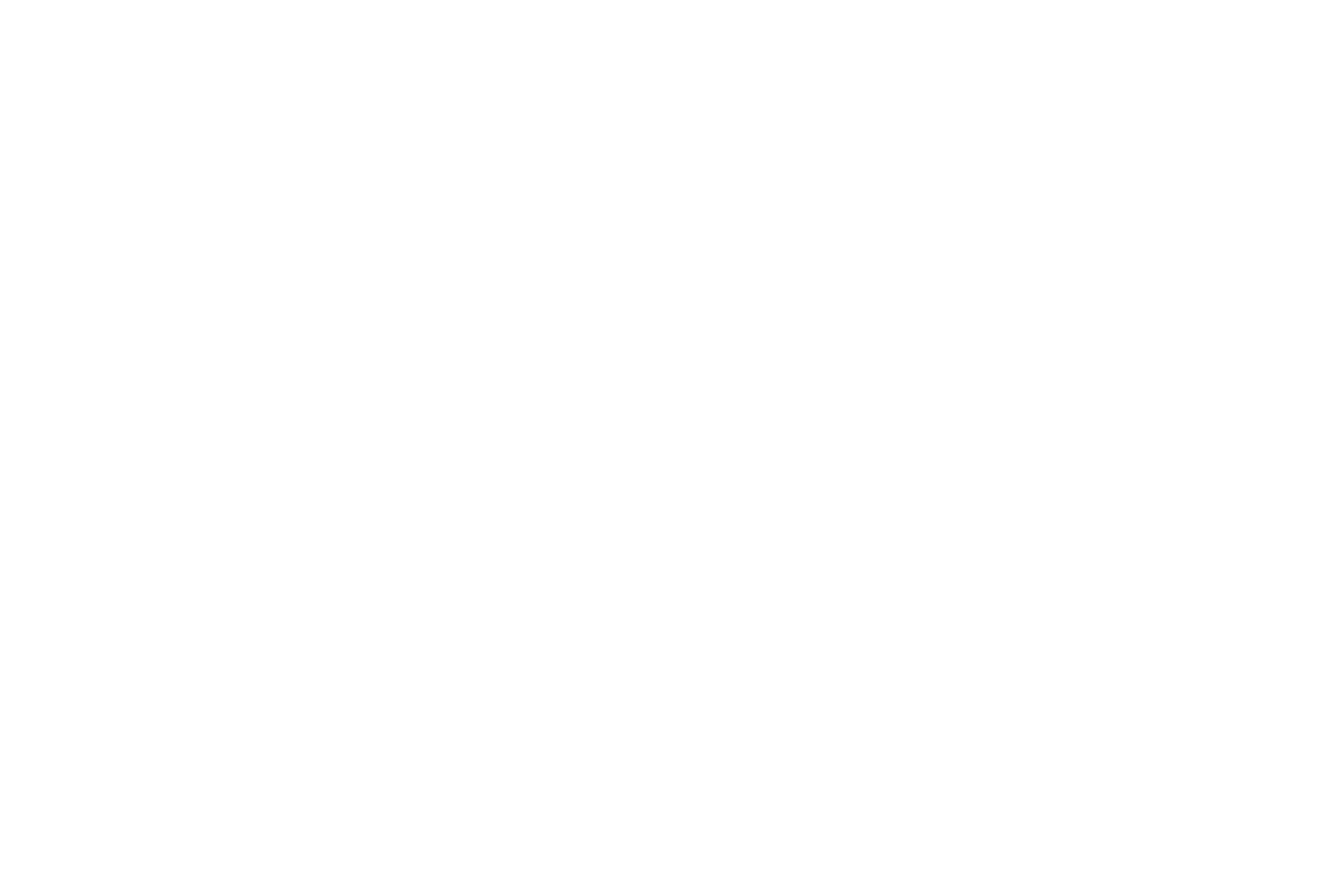 BrandLogo_APEX